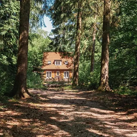 Fantastisch Familiehuis Met Grote Tuin I Bosrijk *