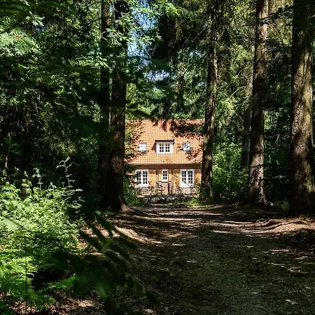 Fantastisch Familiehuis Met Grote Tuin I Bosrijk Villa *