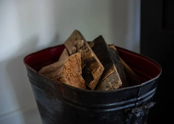 Fantastisch Familiehuis Met Grote Tuin I Bosrijk Lunteren